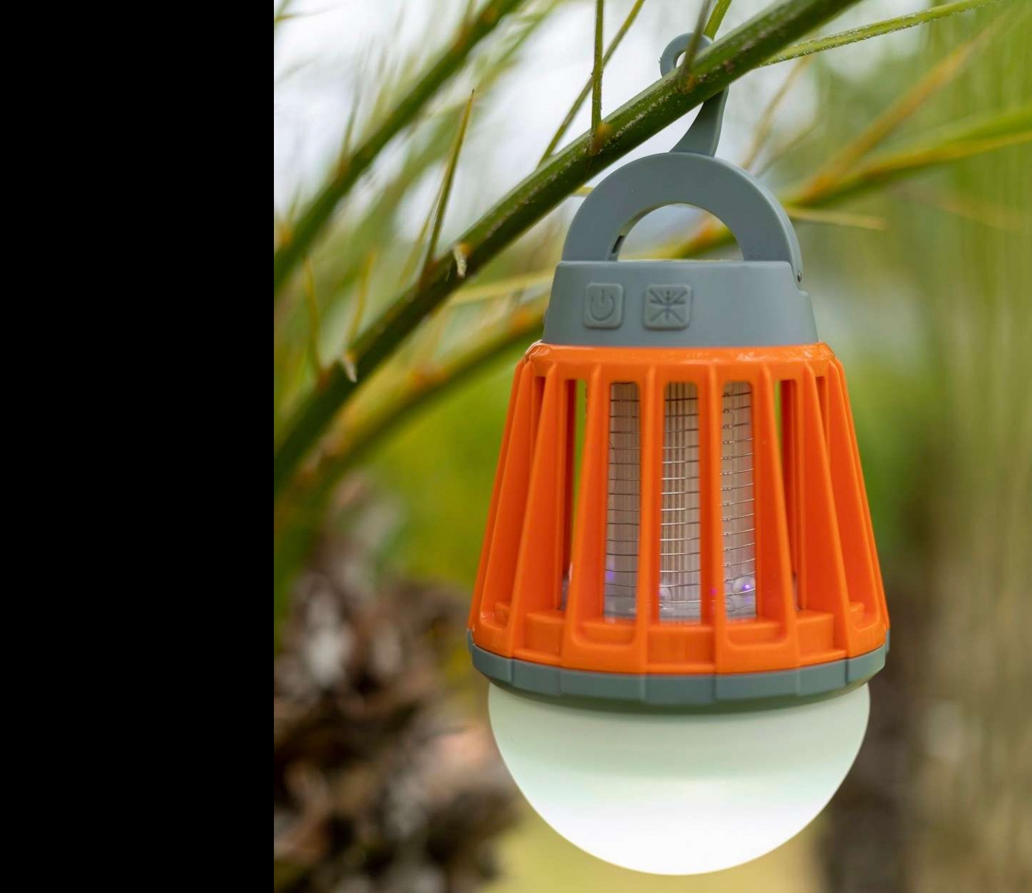 Bug Bulb By Boundary